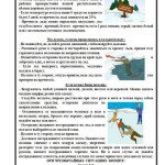 №2 Памятка тонкий лед_page-0002