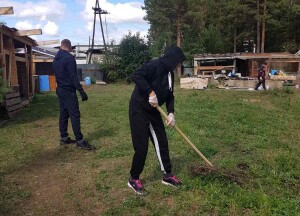 5б