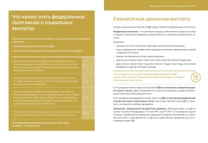 ФЕДЕРАЛЬНЫМ ЛЬГОТНИКАМ СОЦИАЛЬНЫЕВЫПЛАТЫ_page-0002