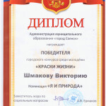 Шмакова В.