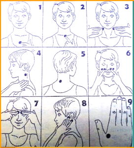 522346a9e267d65e1e6e28a82ce29737