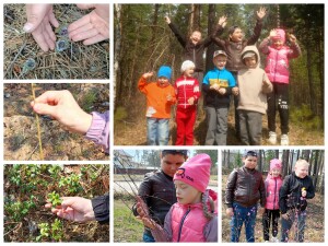 Collage_Fotorгнг