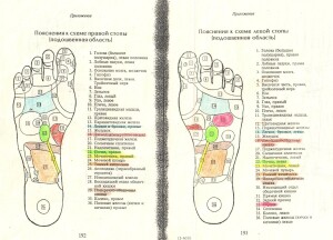 СКАН_page-0002