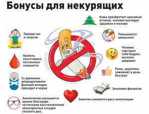 42098_4e1f772a355865996d5c88bd61eabd16d4a531a8