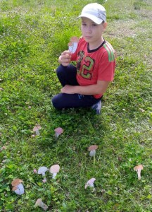 изображение_viber_2024-08-06_20-31-00-402