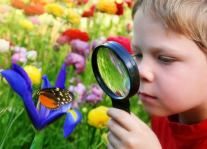 Child-Observing-A-Butterfly-4885079-1128x584