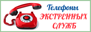 tes